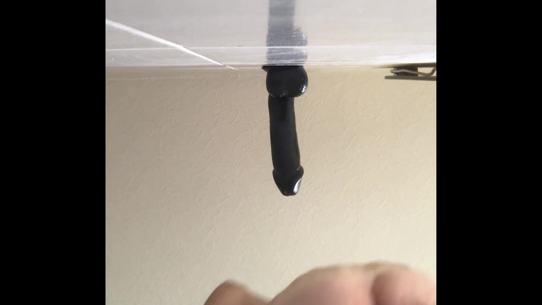 bigears: Pemandangan indah menunggangi dildo kontol hitam besar