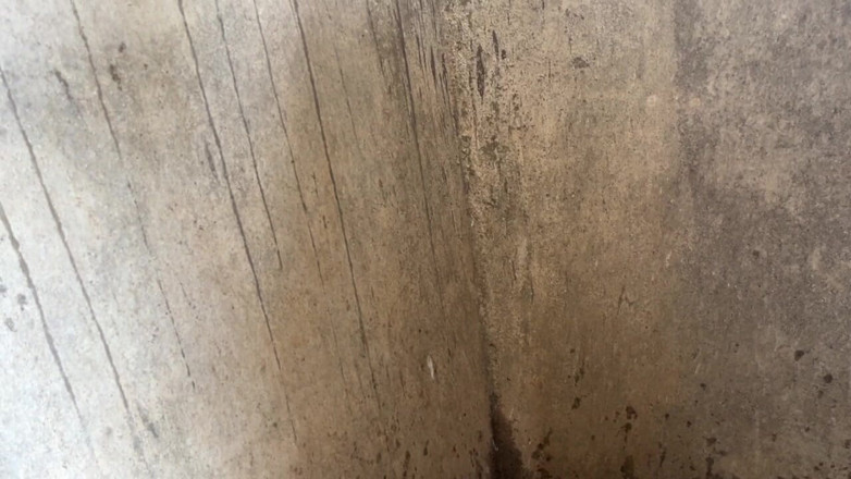 Ritu: Hindi XXX Video in Bathroom