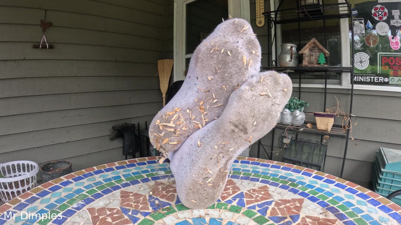 Mr Dimples: 我炫耀我肮脏的袜子和脚