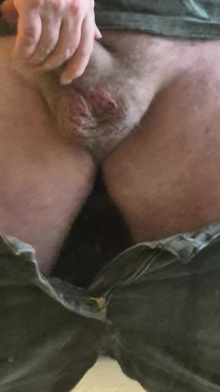 Bjornlive: Plagen en spelen