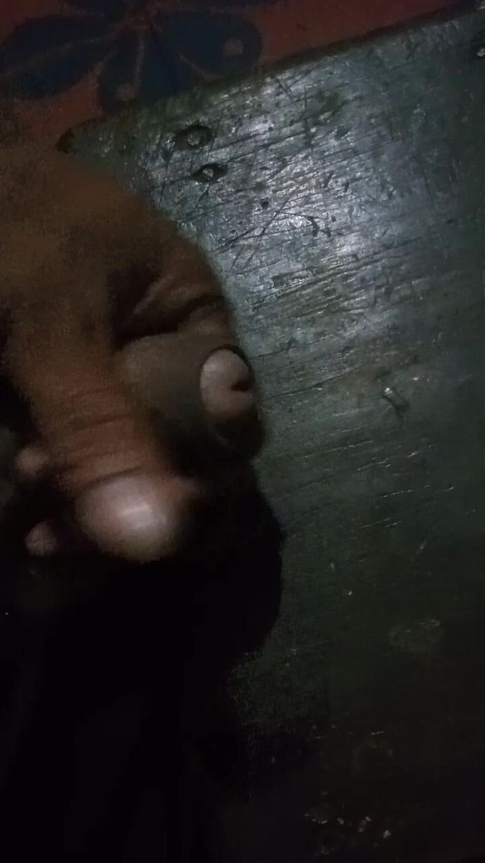 Libirt: Sexy čůrák domácí