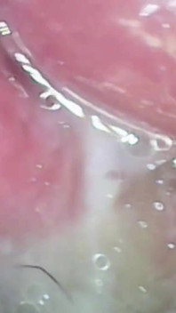 Impregnation Fantasy Cam