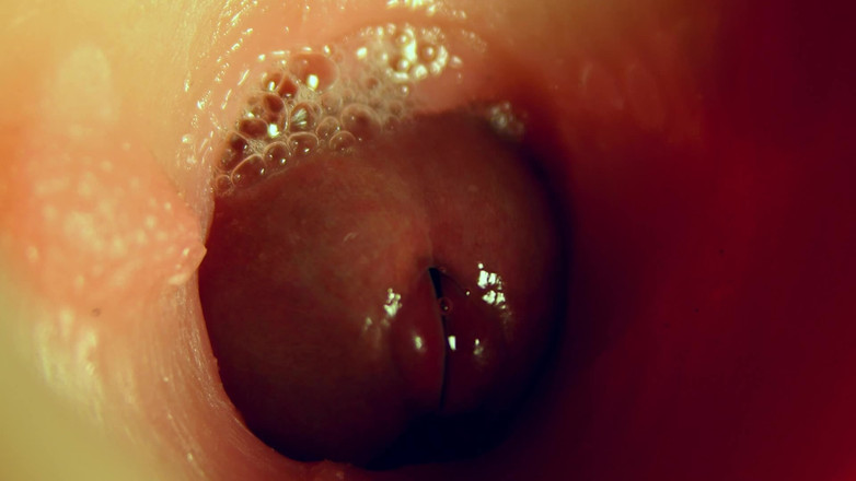 SEXY_GUYBEST: Wonderful Wet Deep Hole for Big Cock Pleasure!