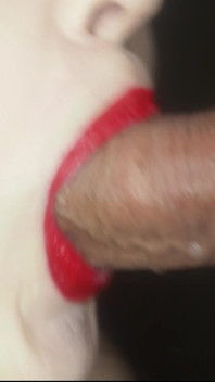 Sensual Closeup Blowjob