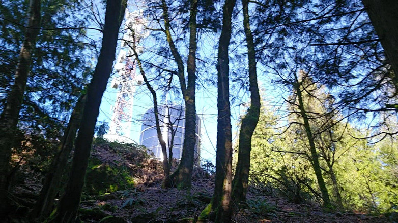 Nerdy_faery: İşemek Zorundayım!