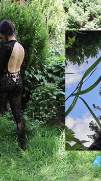 Wild Pegging