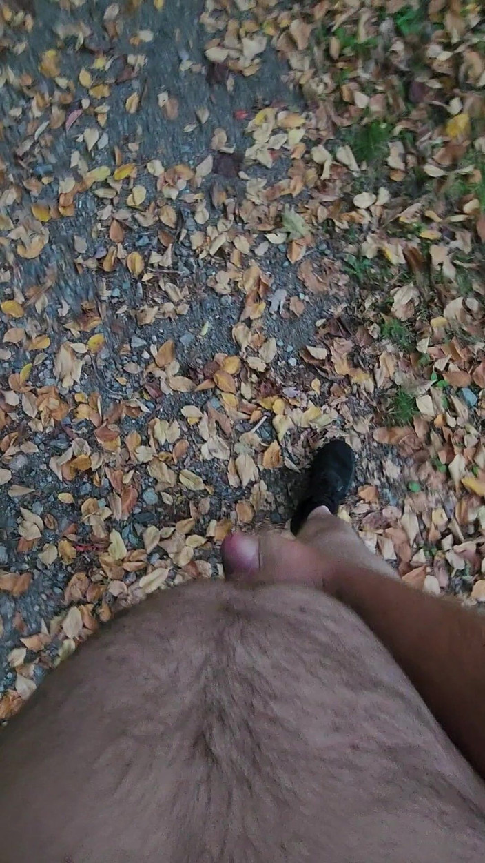 Djk31314: 去晨间散步。