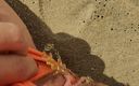 Real fun &amp; fetish: Exhibitionistflicka med sand i trosorna som pissar på stranden