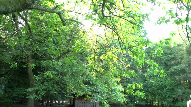 German Porn: Rubia Tatuada Al Aire Libre, DP En Fiesta De Sexo