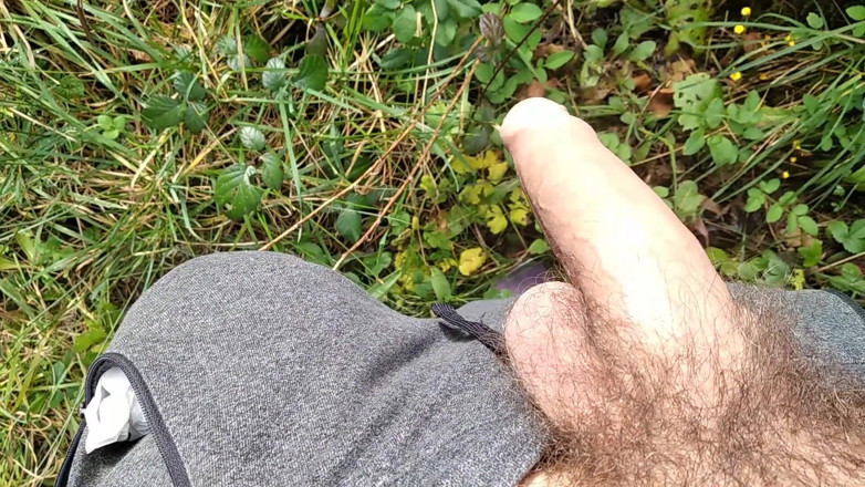 Elvissc: The Horny Stepfather Went on a Hike, When He Took...