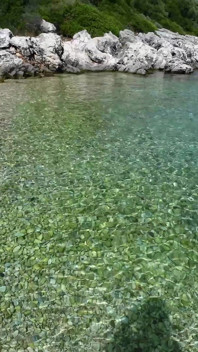 3 vòi hoa sen vàng trên bãi biển bí mật