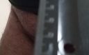 My Penis 20x5cm: Measuring Penis Length Ruler 20cm