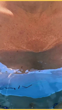 Soția este fără sutien în piscină