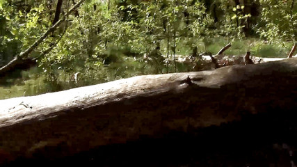 German amateur - 100% German hardcore videos: Roztomilé šukání páru v přírodě