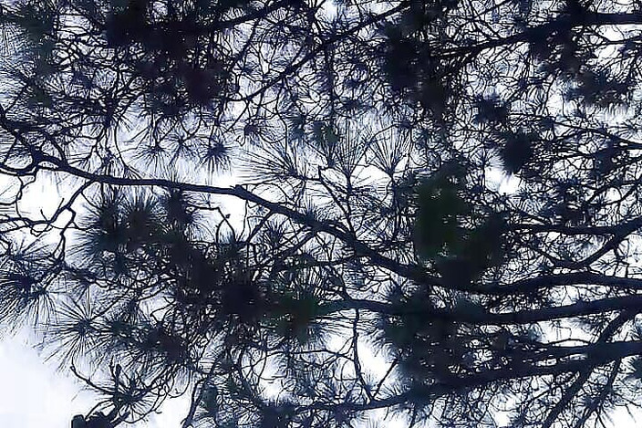 Gangbang straight: Piss-Tribut auf Feld riesigen indischen schwanz