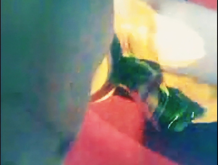 Sarafas1: Bottle &amp; Pussy