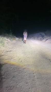 Anne Steele Nude Flashing on Road