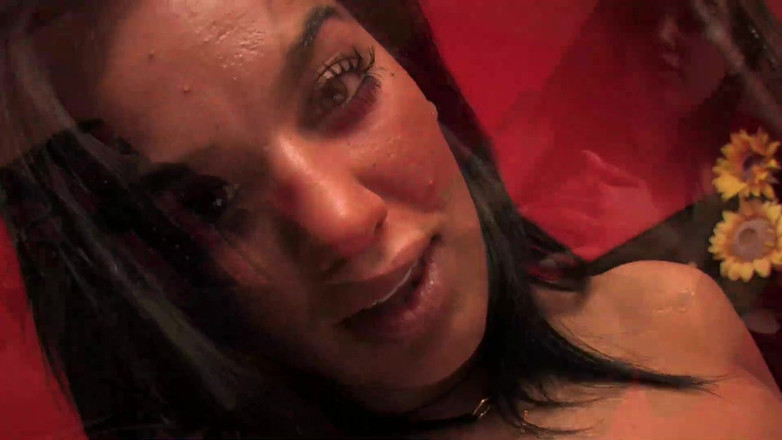 A&M Studios: Tre bellezze di donne per te.