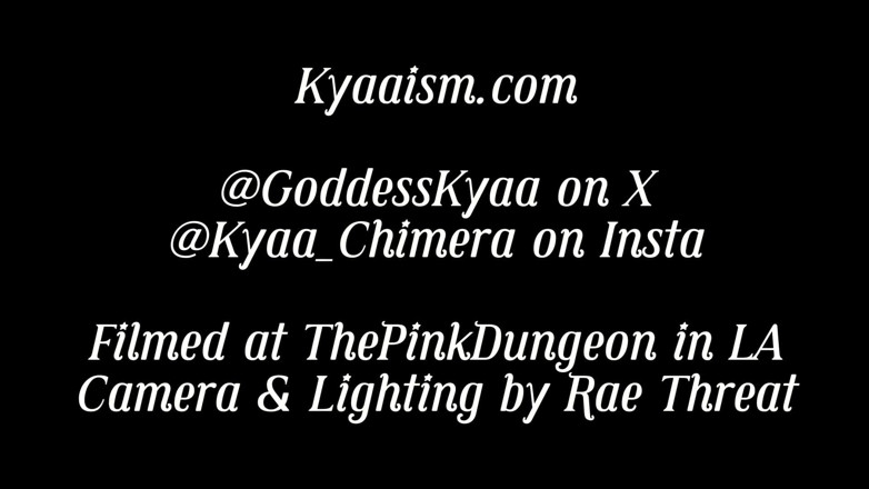 Kyaa Chimera: 주인의 여신 Kyaa를 숭배하는 던전