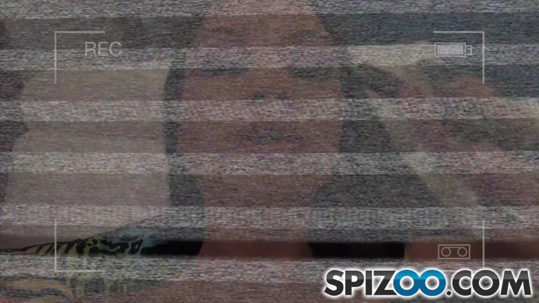 Spizoo: The Bill