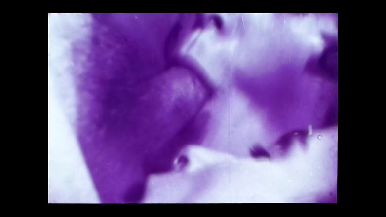 Close Encounter Vintage: Vintage porno retro teatr erotyczny - szczęśliwy facet w trójkącie