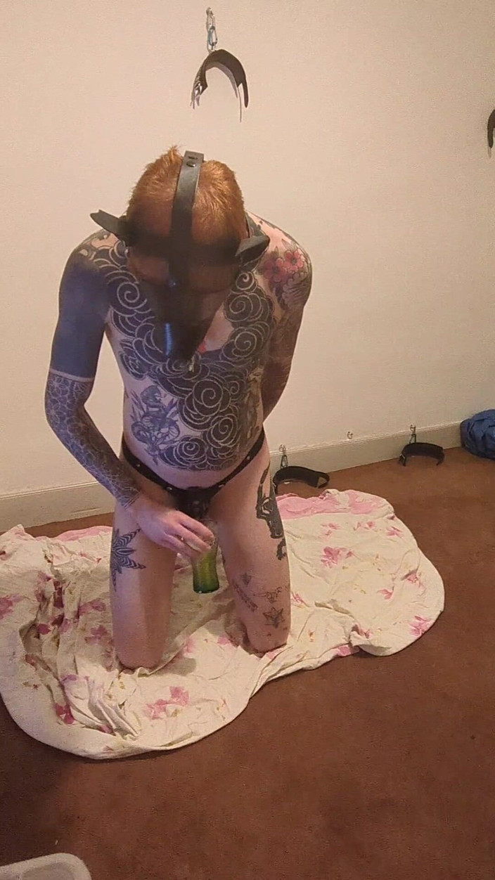 Pupdan: Sub fun dengan kontol mereka yang terkunci