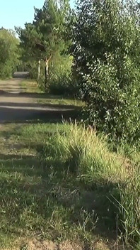 Funduri mari din blugi - Sâni mari din nailon