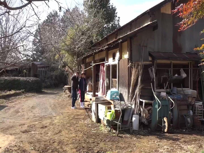 Vulture: Jag plockade upp en erotisk gammal dam som arbetar hårt...