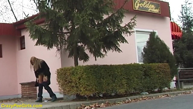 Crazy pee girls: Beauty pissing on street behind bushes