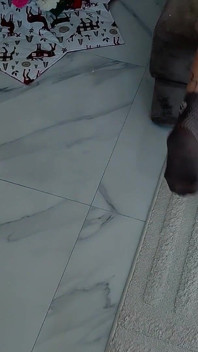 Mi marido acaba de irse y tú ya me estás follando por el culo?