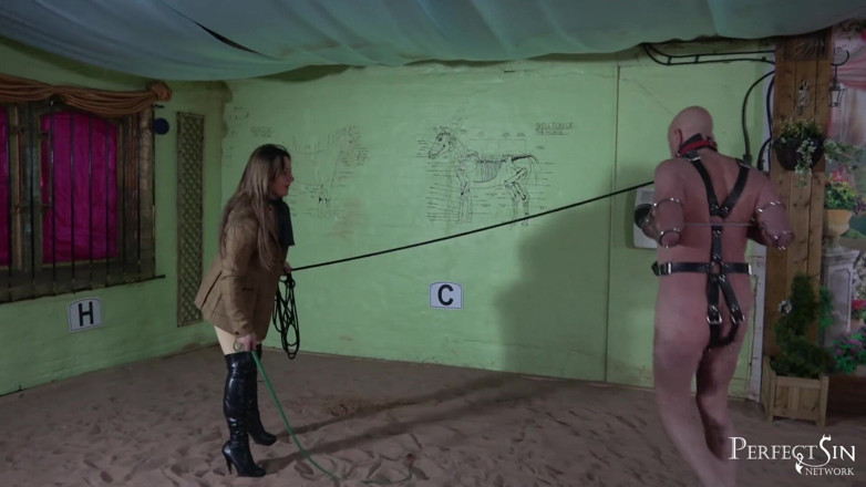 Perfect Sin Network: Training for a perfect slave