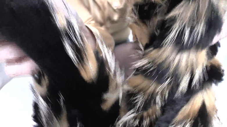 Lady Victoria Valente: 射精训练：闻毛皮围巾和射精，维多利亚·瓦伦特女士