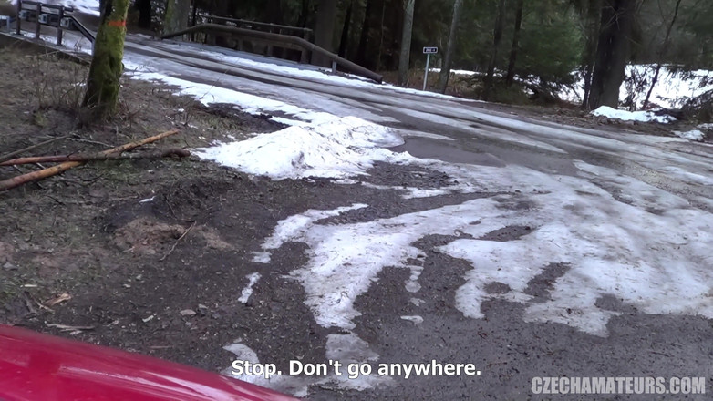 CzechAmateurs: Čeští amatéři 98 anál Před příchodem dítěte