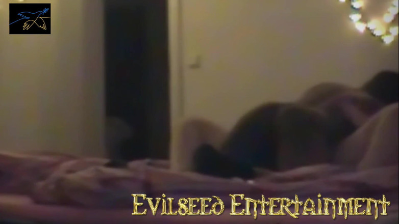Evilseed Entertainment: Blonďatá teenagerka dostane černého ptáka Wlucio Marave