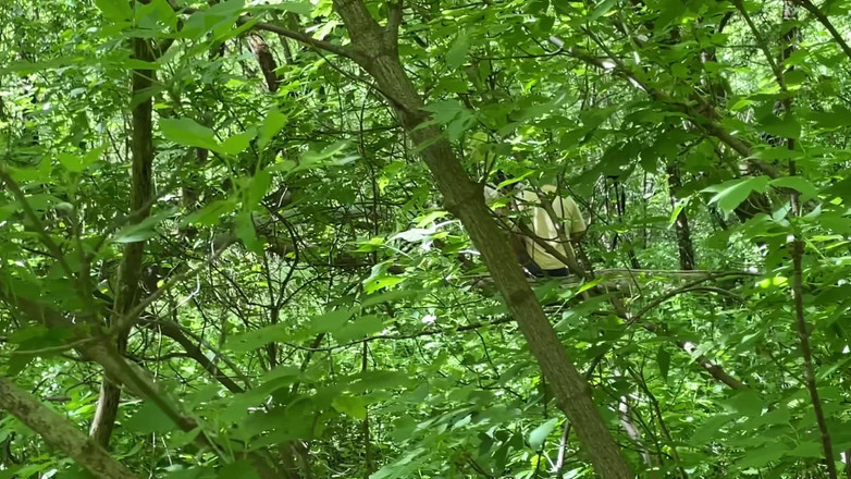 1TeddyBear1: Ormanda Seks, Iki. Bölüm 1. Orijinal 4K Versiyonu