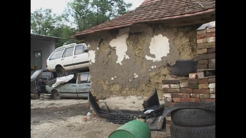 PURZEL TV - our best full movie: Bellezas calientes para furiosos