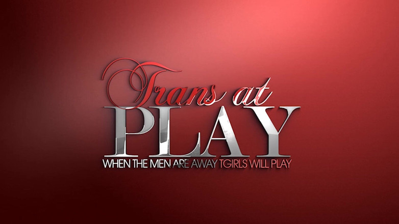 Trans 500: 哦 Ms Prado