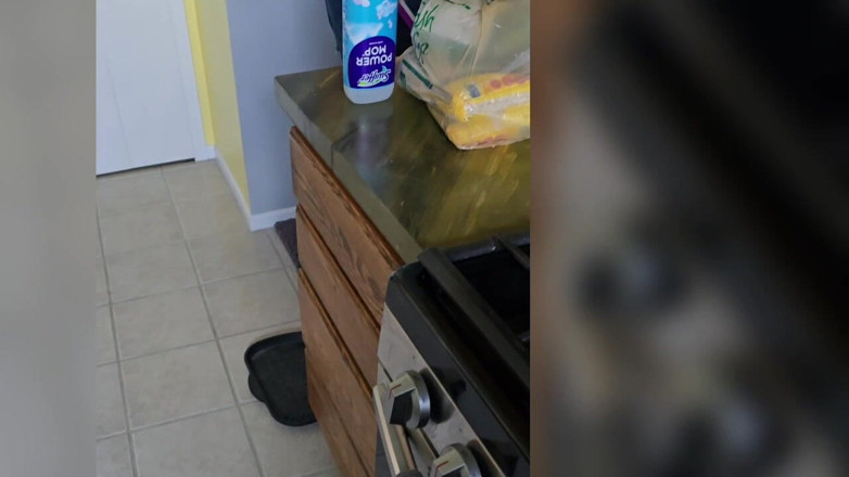 Ladyandme: Topless Lady Cleaning House