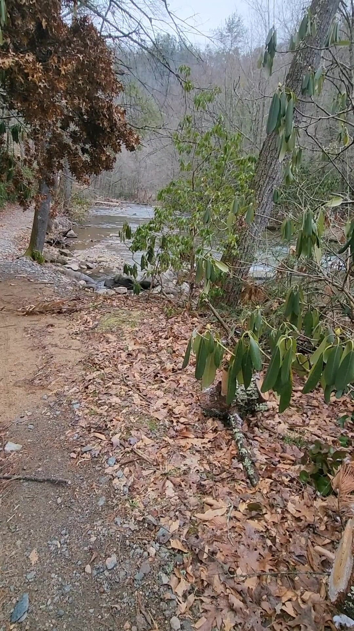 Djk31314: Caminhada fria e porra.