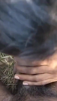 Desi Indian College Girl Jungle Sex Wideo, Indian Desi Village Cute Girl Hardcore Jungle Sex