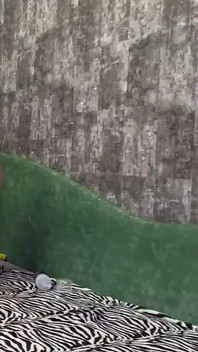 Ngentot teman memata-matai dan crot di pantatnya