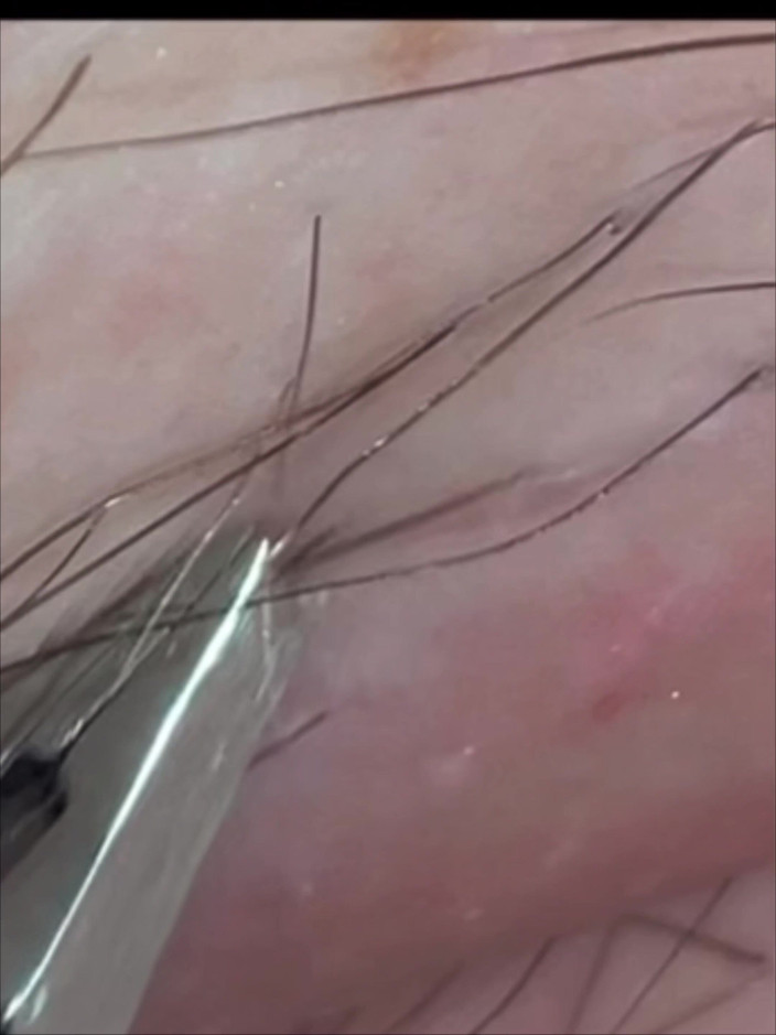 SatisfyingDillyDally: Petunjuk kepada Kelancaran Terperinci