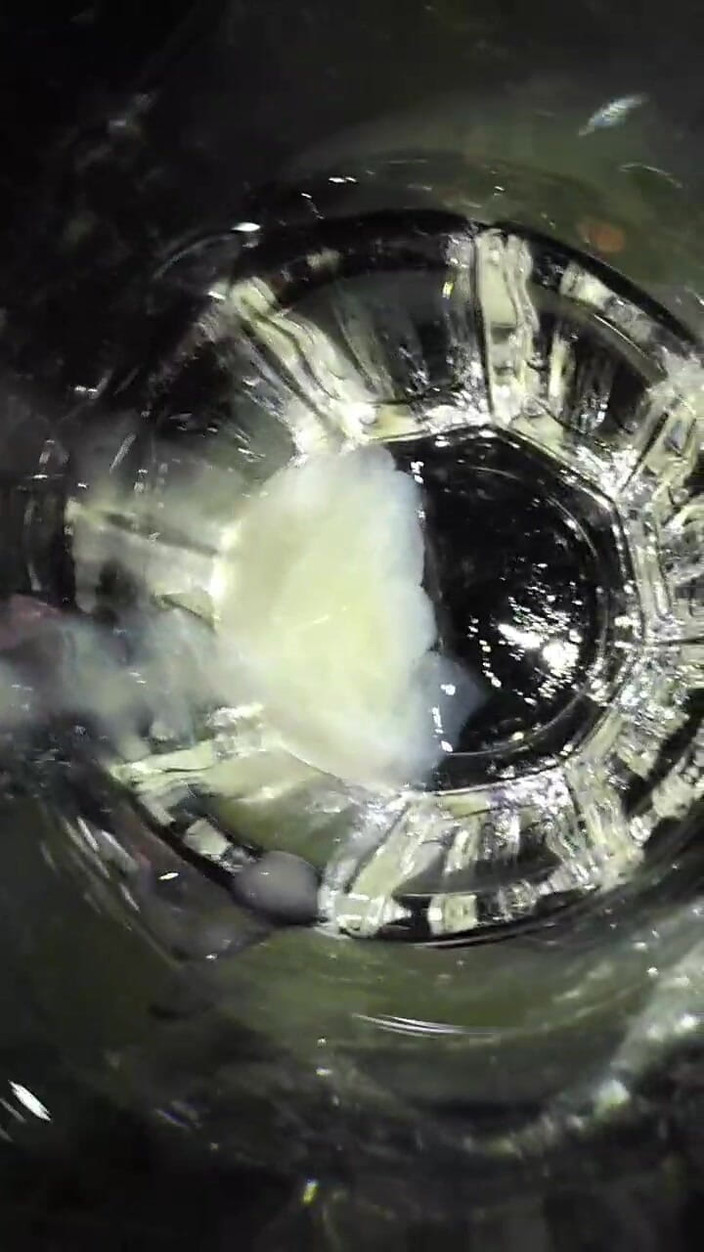 Denpenn: Secermin pancutan mani