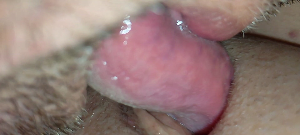 Creativeblondie: Mi coño está siendo lamido