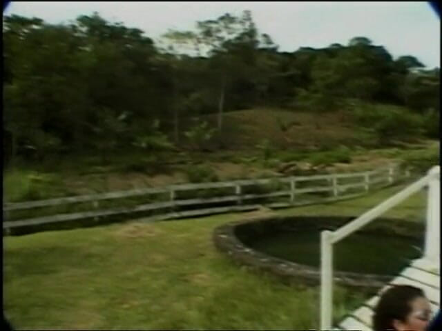 Shemale World: Big boobs latin tranny fucking next to a pond