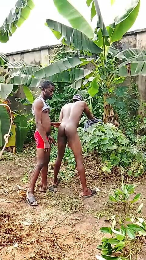 Sexydaddy: Çiftçi üvey oğlumla çalıda domalarak sikişiyorum