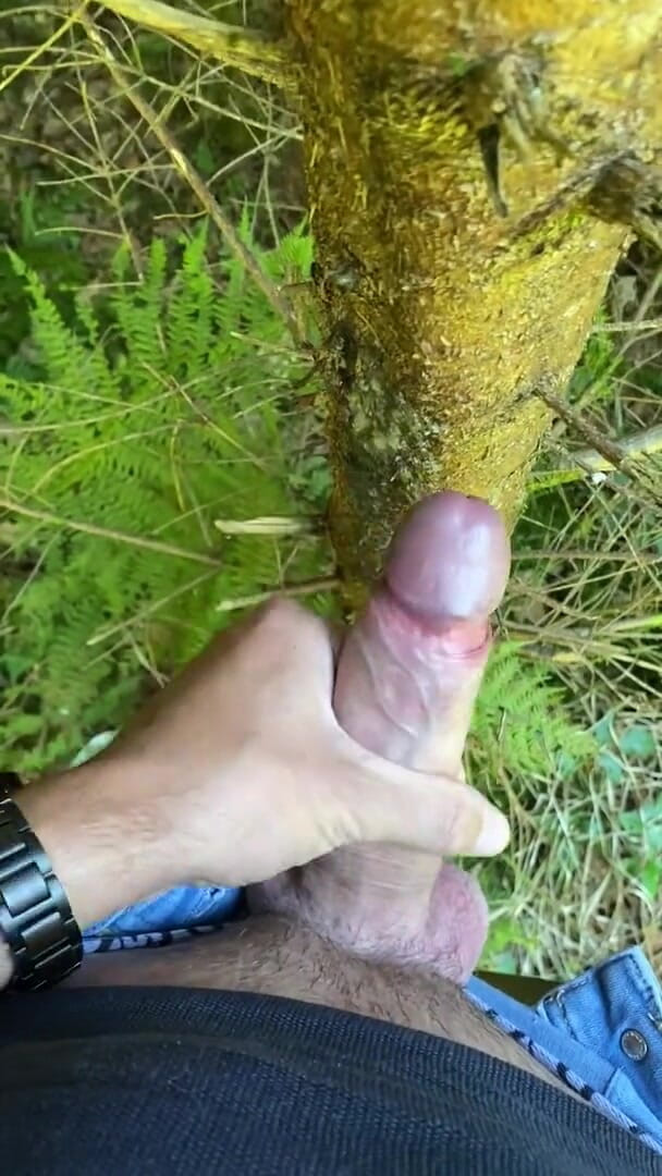 Zaharia: Forest wanki 2