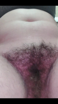 My Bush Is Becoming More and More Abundant.