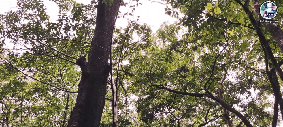 Ziya: Bugil di hutan, masturbasi, muncrat