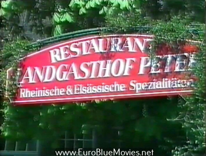 Euro Blue Movies: The Perfect Stranger (1988)